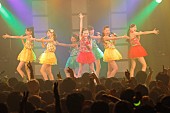 東京パフォーマンスドール「」11枚目/18