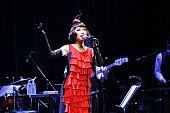 野宮真貴「野宮真貴、“渋谷系スペシャルライブ”の予約者にニューアルバムからの音源1曲をプレゼント」1枚目/1