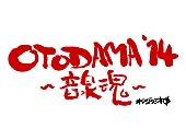 「今週末開催！10周年を迎えた【OTODAMA&amp;#039;14～音泉魂～】今年は2Days！怒髪天やOKAMOTO&amp;#039;S、サンボマスター、ユニコーン…トリはもちろんフラカン!!」1枚目/1