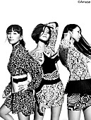 Perfume「Perfume EDM老舗レーベルより全米ALデビュー「絶対後悔しないはず！」」1枚目/1