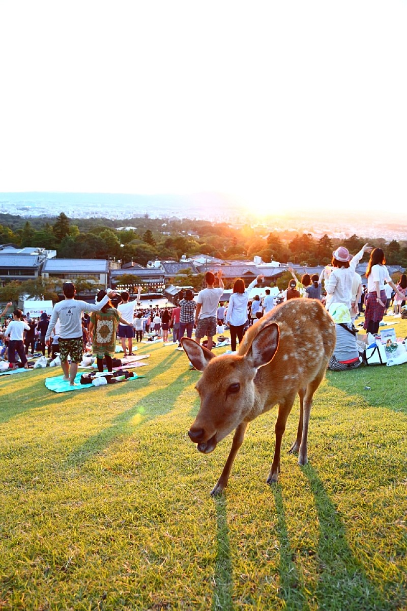 奈良の鹿もうっとり【若草山 MUSIC FESTIVAL 2014】秋風に包まれた心地よいライブレポート