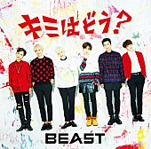 ＢＥＡＳＴ「初回限定盤」2枚目/2