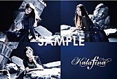 Ｋａｌａｆｉｎａ「」2枚目/11