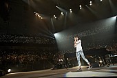 アンジェラ・アキ「アンジェラ・アキ 活動休止ライブin武道館パッケージリリース決定、映画館上映も」1枚目/6