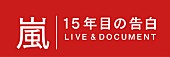 嵐「嵐 NHK特番でハワイ公演密着＆“15年目の告白”「正直嵐をやめようと思ったことが…」」1枚目/1