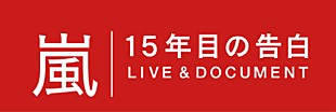 「嵐 NHK特番でハワイ公演密着＆“15年目の告白”「正直嵐をやめようと思ったことが…」」