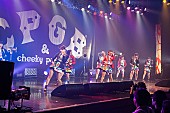 Ｃｈｅｅｋｙ　Ｐａｒａｄｅ「」21枚目/50