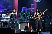 AKB48「【第4回AKB48紅白対抗歌合戦】の模様」33枚目/53