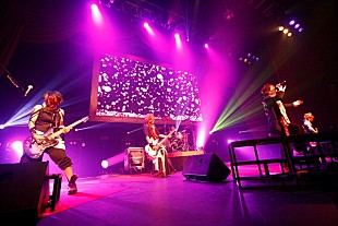 「vistlip智「7年やって良かった、応援ありがとう。」」