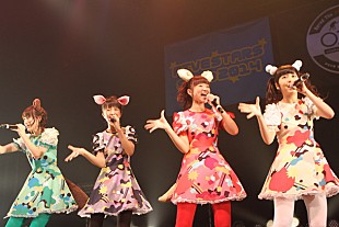 「武田鉄矢プロデュースアイドル 赤マルダッシュ☆が2015年の飛躍を狙う痛快アクト」
