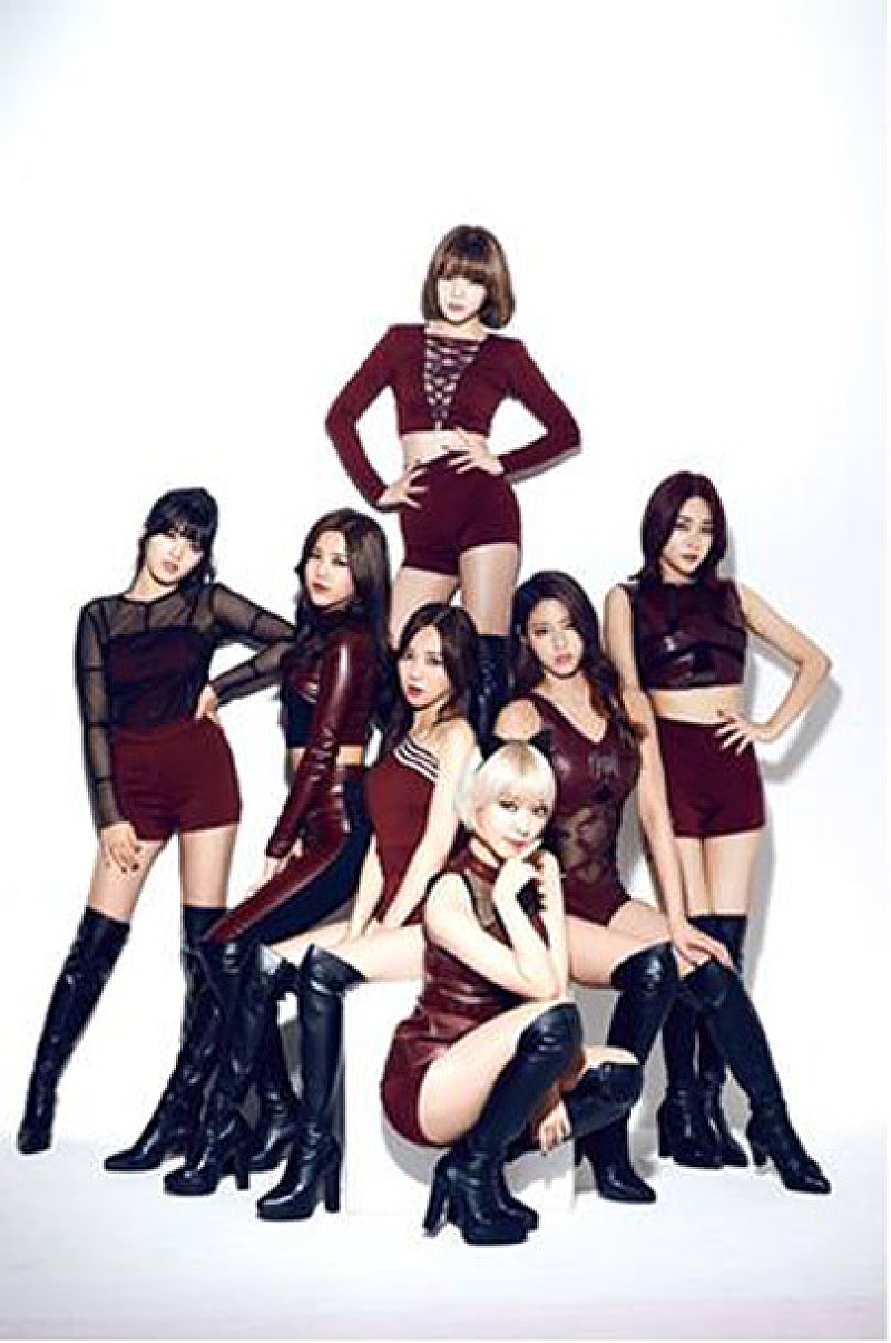 セクシーキャットエンジェル“AOA”新作『Like a Cat』予約握手会決定