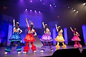 チームしゃちほこ「1月9日（金）【俺のしゃちほこライブ】」4枚目/16