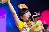 チームしゃちほこ「1月9日（金）【俺のしゃちほこライブ】」6枚目/16