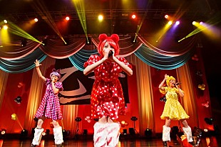 「チームしゃちほこ、【乙女祭り2015】の開催に先駆けて昨年の模様をUstreamで“おさらい”放送決定」