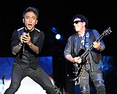 「ジャーニーのニール・ショーンが結婚式会場の使用料をめぐり提訴」1枚目/1