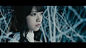 乃木坂46「乃木坂46 11thシングル『命は美しい』華麗なダンスMV公開」1枚目/8