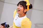 チームしゃちほこ「」8枚目/39