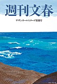 サザンオールスターズ「」6枚目/6