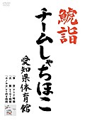 チームしゃちほこ「」3枚目/3