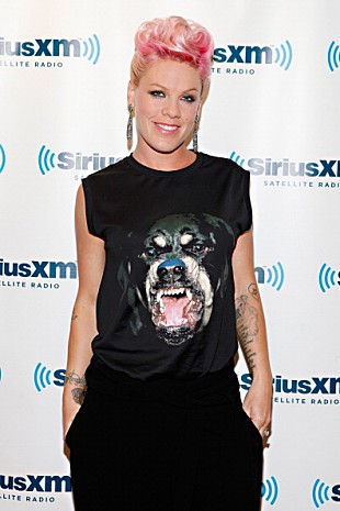 「娘をピンクのコンサートに連れて行った元妻を訴えた父親敗訴 判事「母親との初めてのコンサートは素晴らしい時を過ごした事実」」