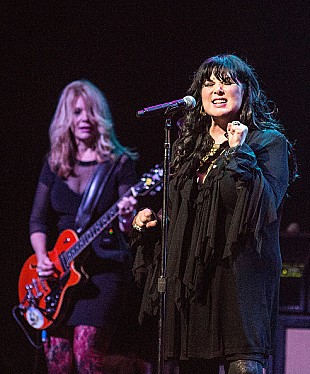 「ハートのアン・ウィルソン、64歳にして人生初の結婚」