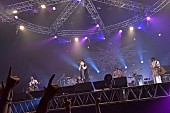 ブンブンサテライツ「ブンブンサテライツ、【VIVA LA ROCK 2015】でのクロージングアクトに大歓声、ボーカル川島の日本語歌唱も」1枚目/6