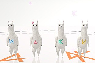 「HaKU 『aDanza』とのコラボMV公開 アルパカが踊る可愛いくコミカルな作品に」