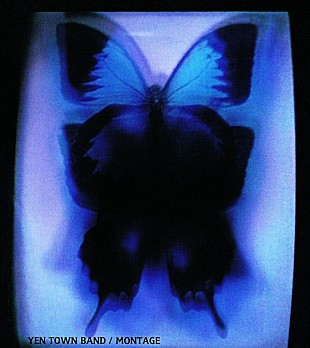 「『スワロウテイル』から20年……YEN TOWN BAND復活 岩井俊二「僕らの中でイェンタウンが再び胎動」」