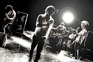 「New Acoustic Camp 2015、第二弾出演アーティスト解禁」