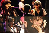 BiSH「BiSH キュートでマジメなクソアイドルの矜持 聖地での初ワンマン大狂乱＆アイドルシーンに宣戦布告「クソして待ってろ！」」1枚目/39