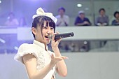 東京パフォーマンスドール「」15枚目/35