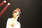 ＢＯＮＮＩＥ　ＰＩＮＫ「BONNIE PINK 20周年記念全国ツアー開催決定」1枚目/1