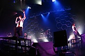 vistlip「vistlip結成8周年記念ライブ開催、「みんなも全力でついてきて」」1枚目/10