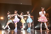 ｉＤＯＬ　Ｓｔｒｅｅｔ「世界に照準するわーすた、初の40分ライブで「いぬねこ。青春真っ盛り」：Girls Street EXPO 2015レポその1」1枚目/5