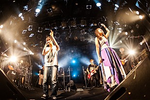 「蟲ふるう夜に GOMESSも参戦した衝撃ワンマン 寄生虫のよう蔓延る思念を蹴散らす」