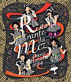 ももいろクローバーZ「ももクロ【女祭り2014】Blu-ray＆DVD発売記念 レシピ募集企画開催 「サイン入りオリジナルお皿セット」プレゼント」1枚目/6