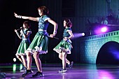 Negicco「初の野音ワンマンの写真」12枚目/18