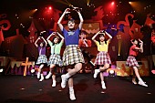 チームしゃちほこ「」13枚目/30