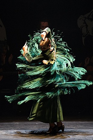 「フラメンコ・フェスティバル閉幕、サラ・バラス『ボセス＝フラメンコ組曲』、アンダルシア・フラメンコ舞踊団」