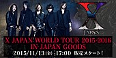 X JAPAN「X JAPAN キレたYOSHIKIがデザインされている『YOSHIKI伝説キレ辛カレーチップス』等ツアーグッズ先行販売」1枚目/1