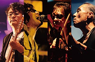 「飲酒運転撲滅を誓う『LIVE SDD 2016』出演アーティスト発表！」