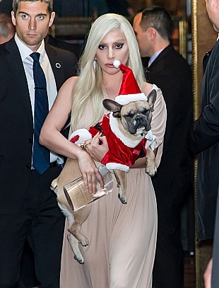 「レディー・ガガが女性を賛美、【Women in Music】のハイライト映像公開」