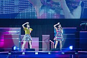 ℃－ｕｔｅ「」13枚目/15