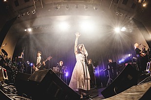 「蟲ふるう夜に 何も間違っていなかった音楽の終焉～4人がそれぞれに描く朝へ」