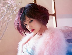 「ハナエ 東名阪ワンマン開催決定「ショーガールより素敵な女の子はいない。それを目撃しに来てください」」