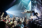 「MAN WITH A MISSION ツアー【The World&amp;#039;s On Fire TOUR 2016】名古屋追加公演開催を発表」1枚目/8