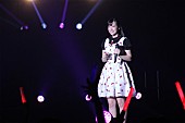 アンジュルム「」18枚目/25