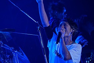 「UVERworld 遂に【女祭り】収録のBlu-ray＆DVDを発売！」
