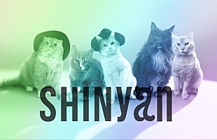 「猫5匹組SHINyanデビュー、リーダー・オニュにゃん「SHINeeに負けにゃい」」