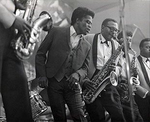 「ジェームス・ブラウンの伝記映画へ岡村靖幸、横山剣、オカモトショウなどがコメント」